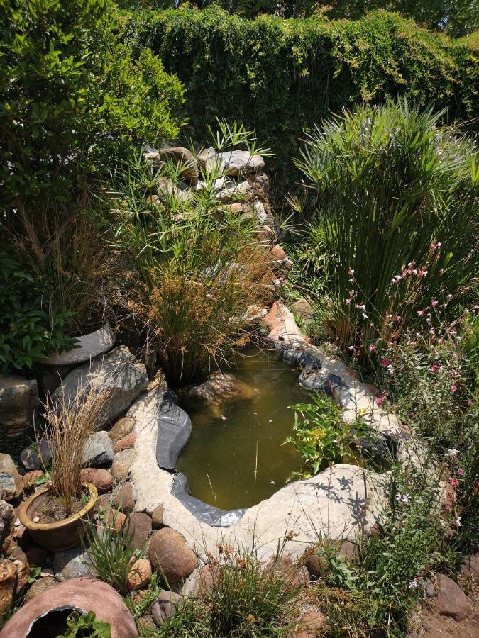 Bastille De Blignaut B&B Edenvale Ngoại thất bức ảnh